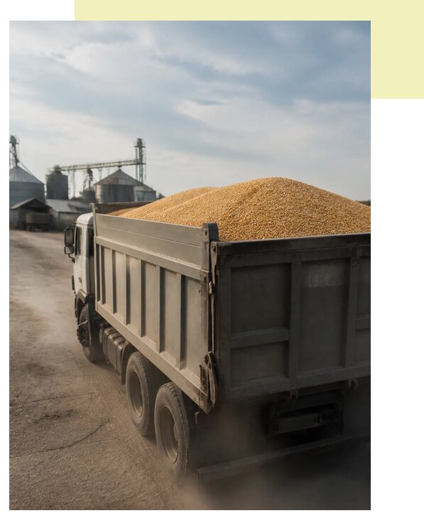 Перевозка сельхозпродукции навалом в Екатеринбург по цене от 3075 р. | Агросервис-Ктр